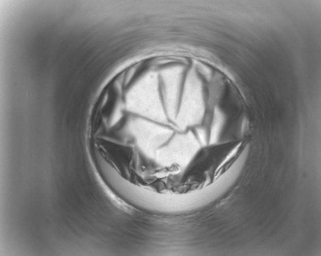 X0000070181523200606231933