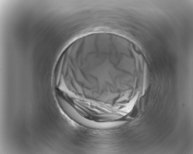 X0000070181527200606231933