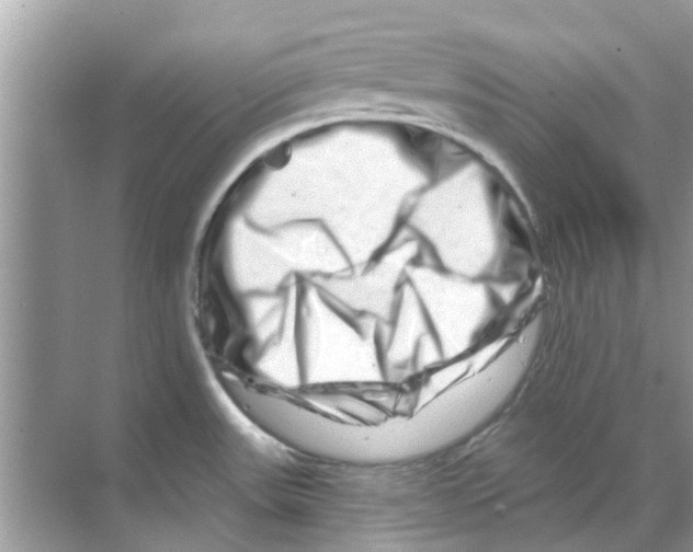 X0000070181531200606231934