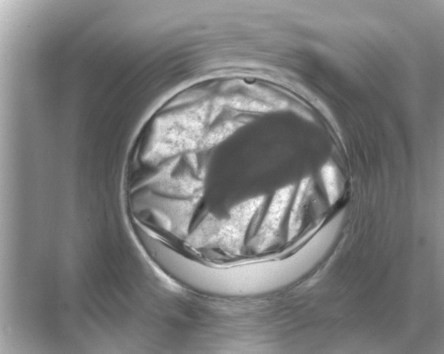 X0000070181533200606231934