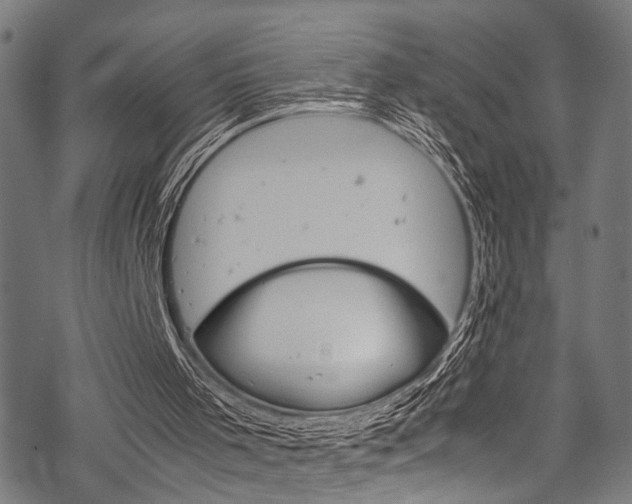 X0000070190001200605261016