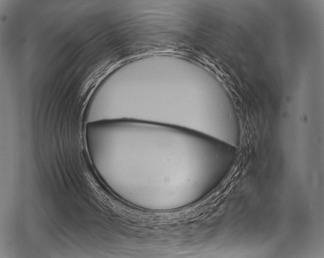 X0000070190002200605261016