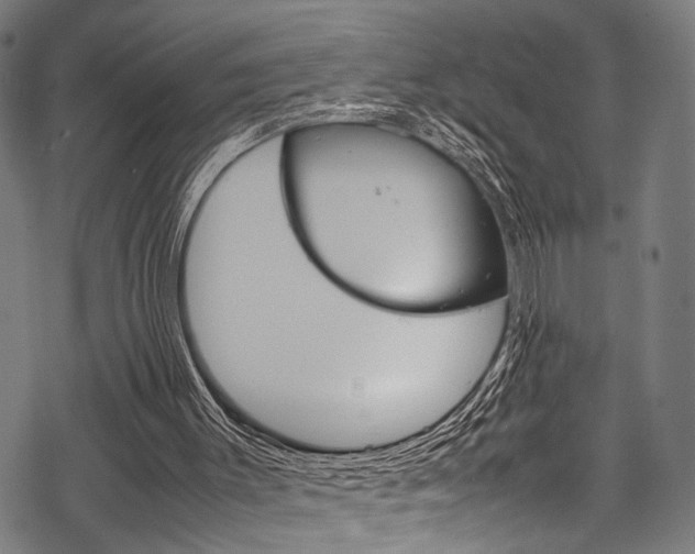 X0000070190003200605261016