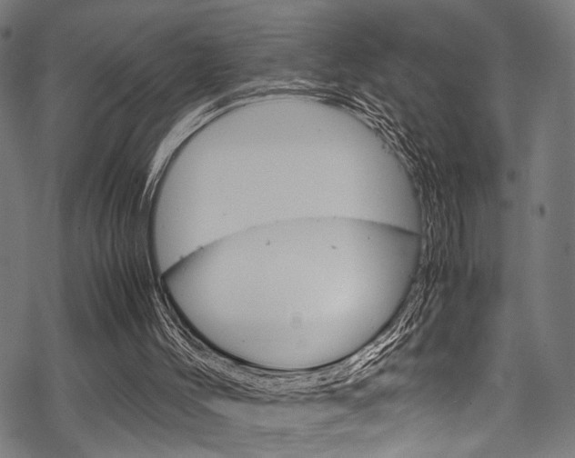 X0000070190004200605261016