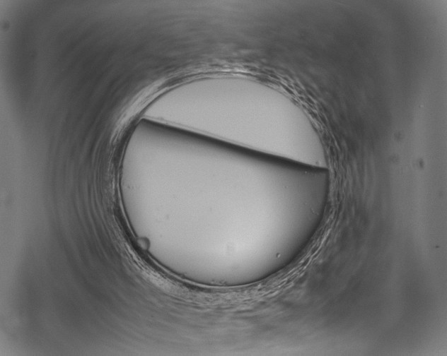 X0000070190005200605261016