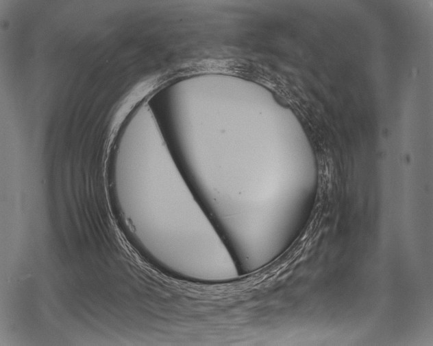 X0000070190006200605261016