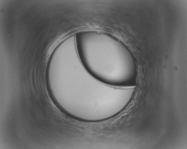 X0000070190007200605261016