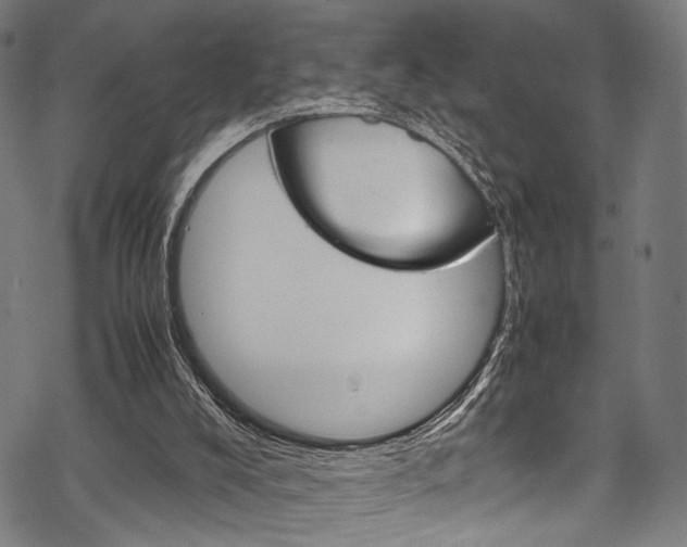 X0000070190008200605261016