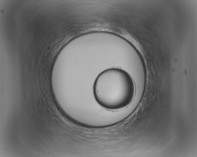 X0000070190009200605261016