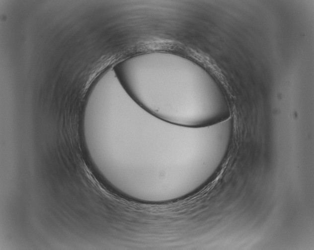 X0000070190010200605261016