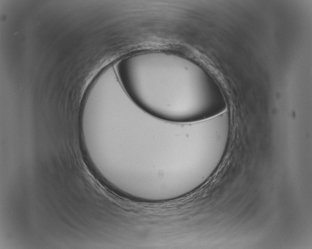 X0000070190011200605261016