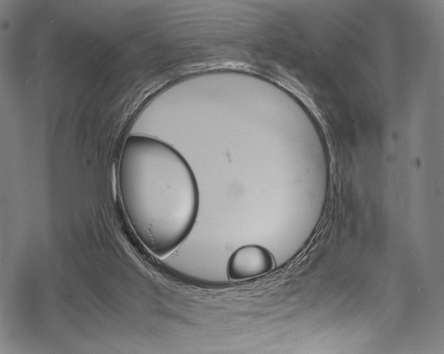 X0000070190013200605261016