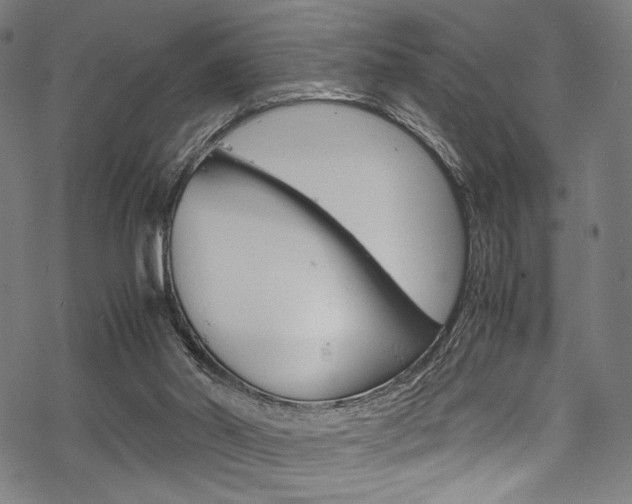 X0000070190014200605261016