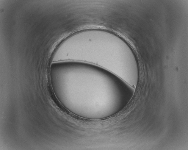 X0000070190015200605261016