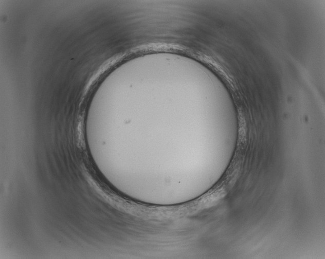 X0000070190016200605261016