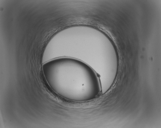 X0000070190017200605261016