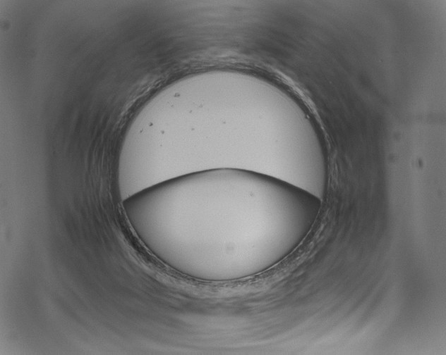 X0000070190018200605261016