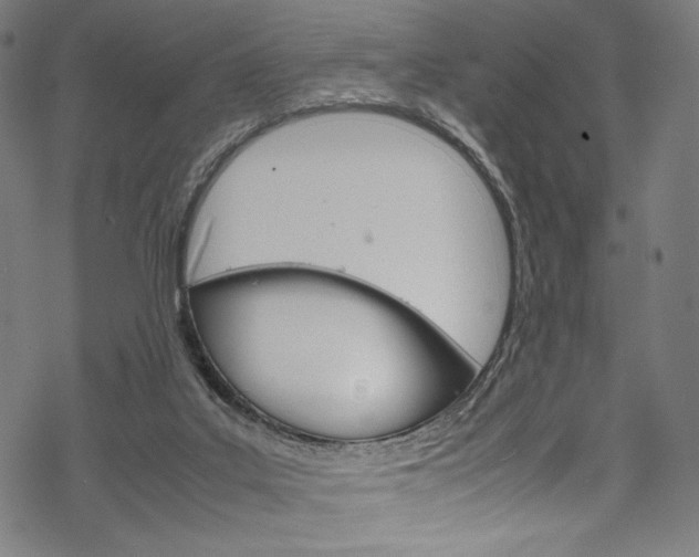 X0000070190019200605261016