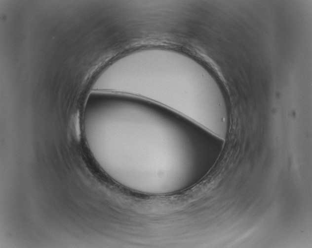 X0000070190020200605261016