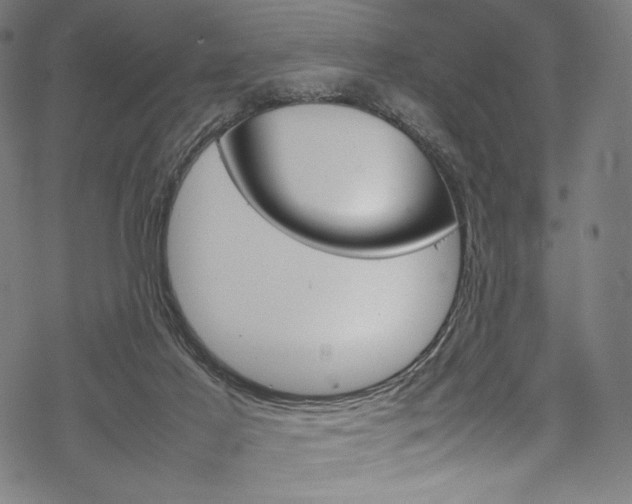 X0000070190021200605261016