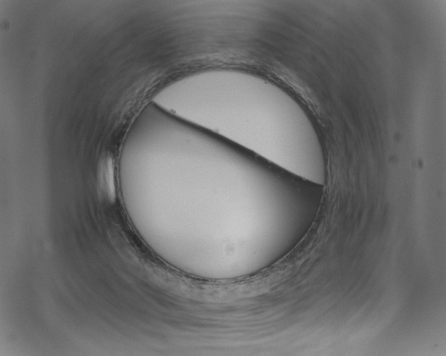 X0000070190022200605261016