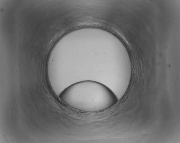 X0000070190023200605261016