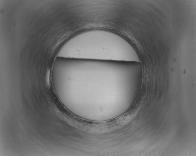 X0000070190024200605261016