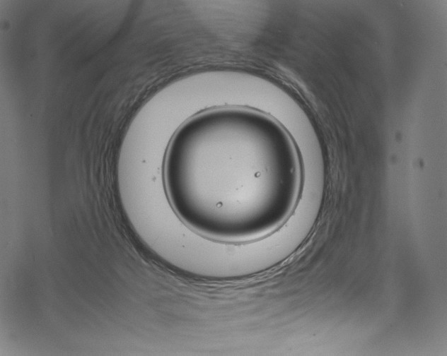 X0000070190025200605261016