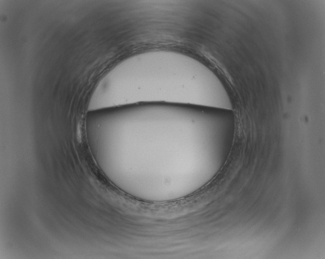 X0000070190026200605261016