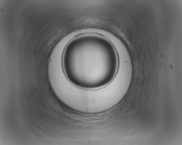 X0000070190027200605261016