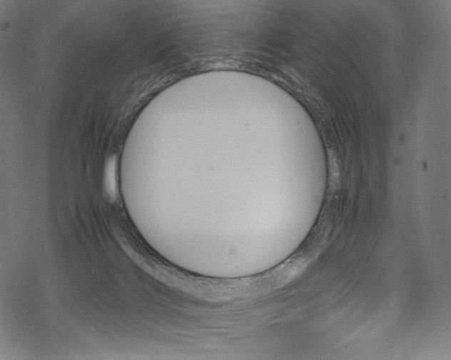 X0000070190028200605261016