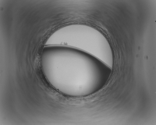 X0000070190029200605261016