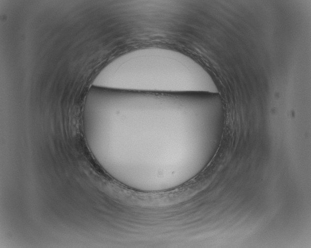 X0000070190030200605261016