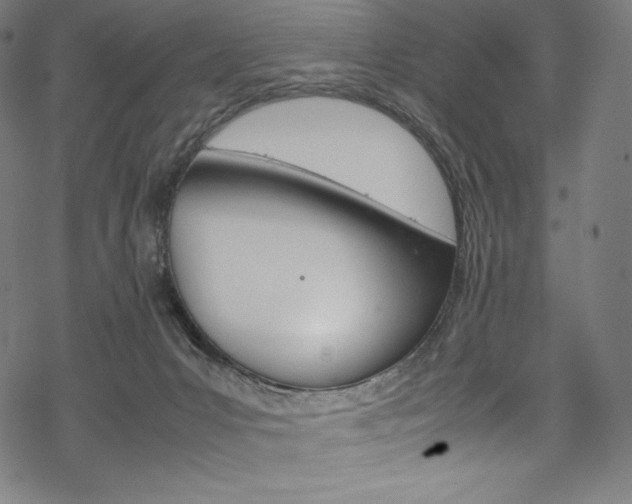 X0000070190031200605261016