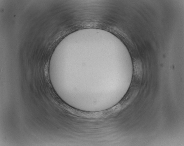 X0000070190032200605261016