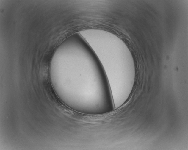 X0000070190033200605261016