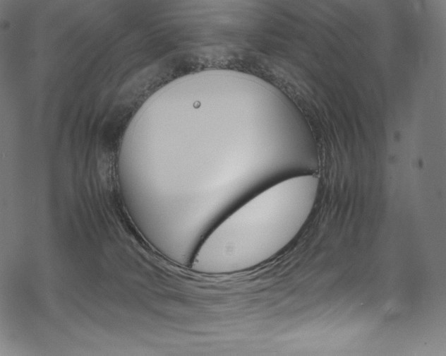 X0000070190034200605261016