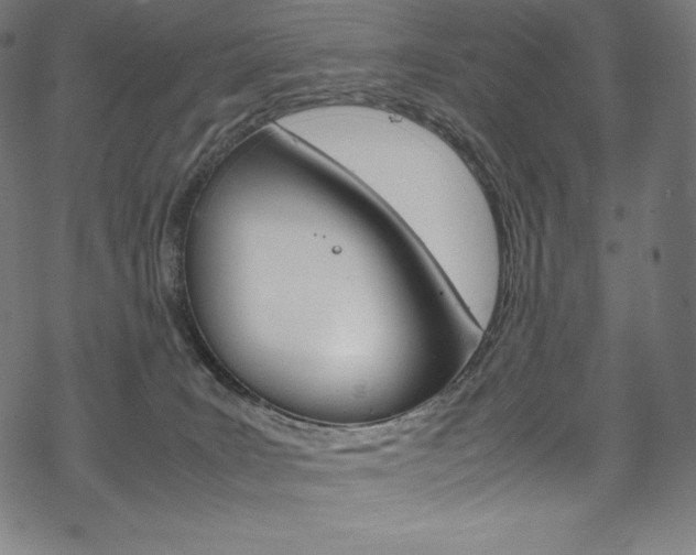 X0000070190035200605261016