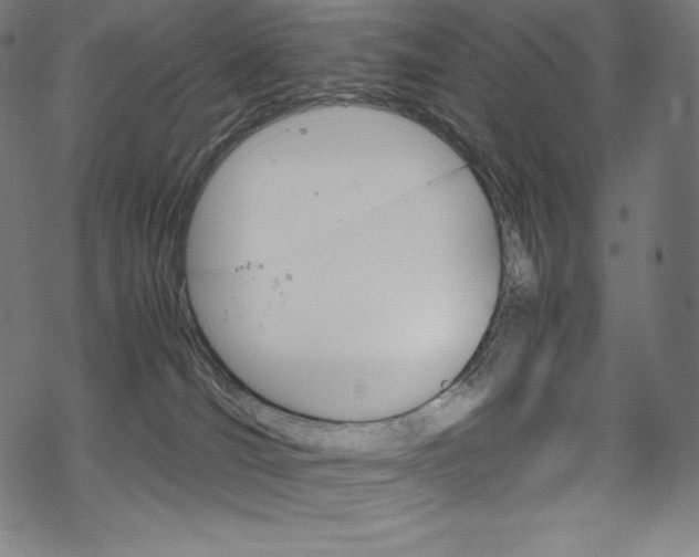 X0000070190036200605261016