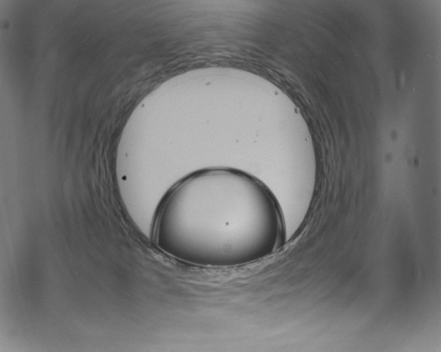 X0000070190037200605261016