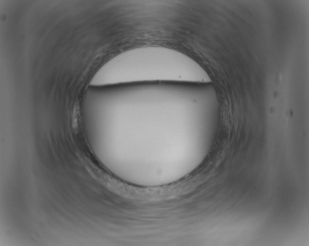 X0000070190038200605261016