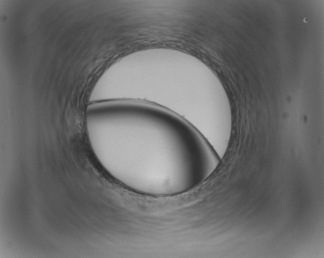 X0000070190039200605261016