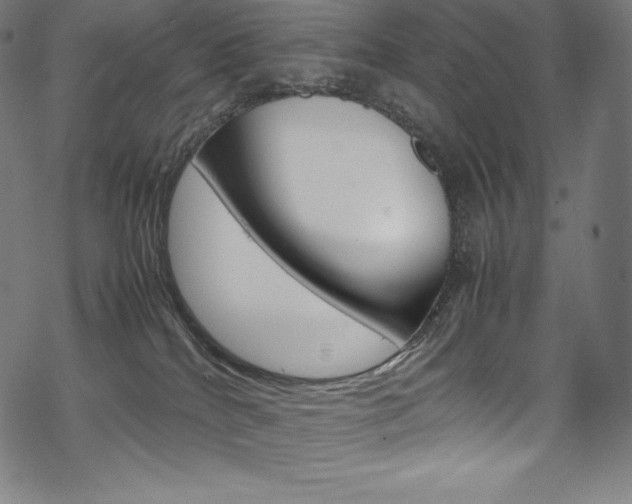 X0000070190040200605261016