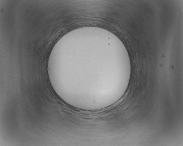 X0000070190041200605261016