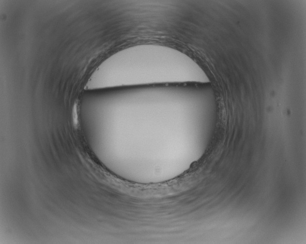 X0000070190042200605261015