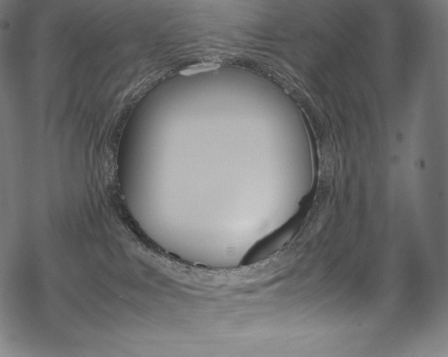 X0000070190043200605261015