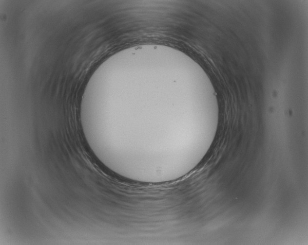 X0000070190044200605261015