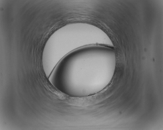 X0000070190045200605261015