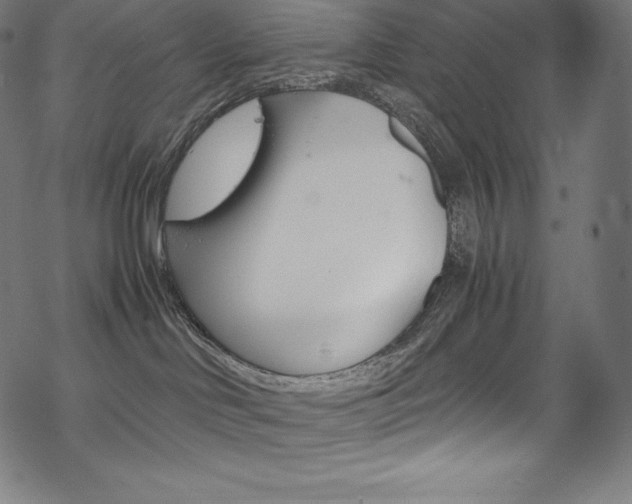 X0000070190046200605261015