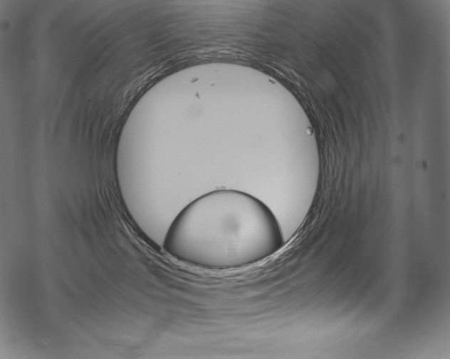 X0000070190047200605261015